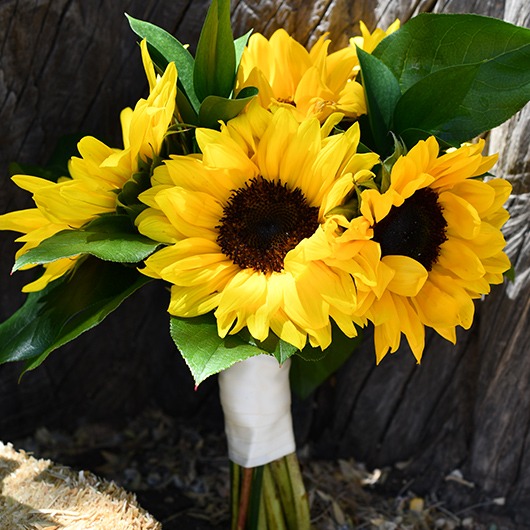 bridesmaid bouquet with sunflowers