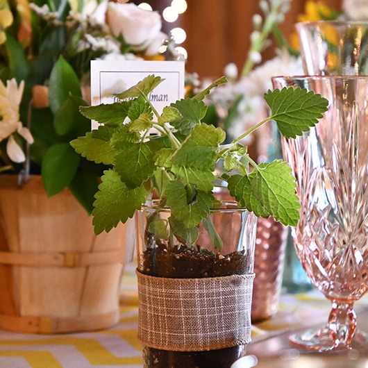 herb place setting